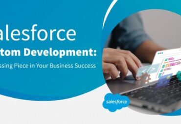 Salesforce-Custom-Development-service