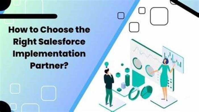 Salesforce implementation partner