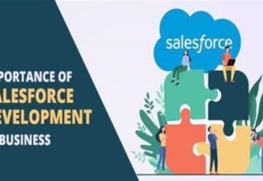 custom development for business