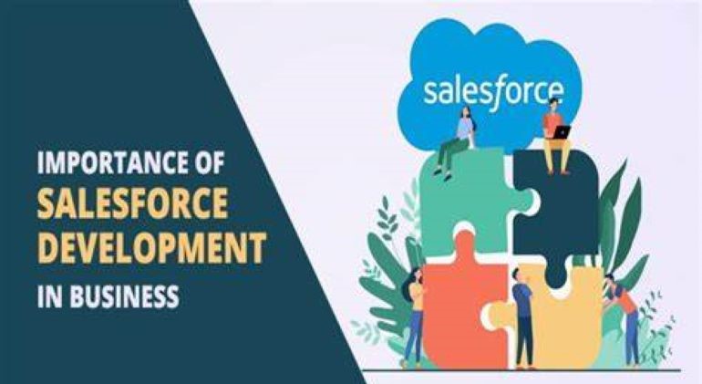 custom development for business