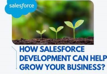 custom development for growing business