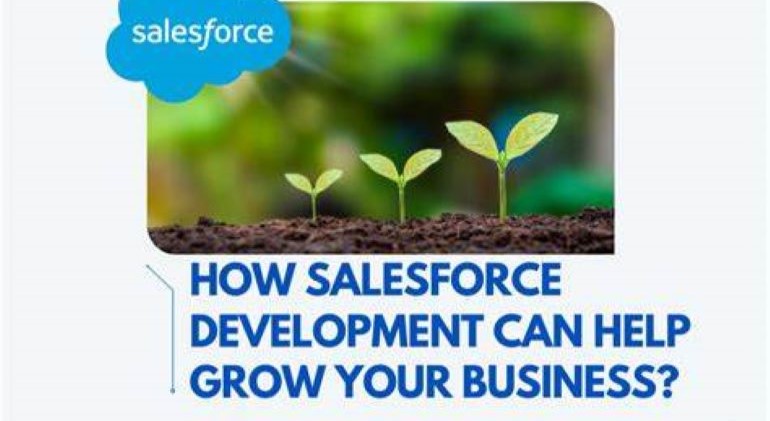 custom development for growing business